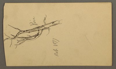 Tekening, Dennen, september 1877 door Frederic Edwin Church