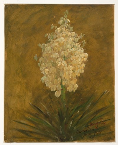 Tekening, Plant in bloei, augustus 1865 door Frederic Edwin Church