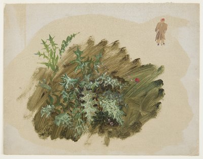 Tekening, Plantenstudies, 1865 door Frederic Edwin Church