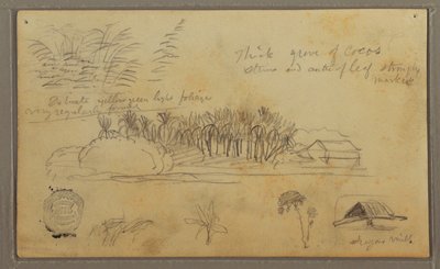 Tekening, Schetsen, Ecuador of Colombia; Verso: Schetsen, Ecuador of Colombia, 1857 door Frederic Edwin Church