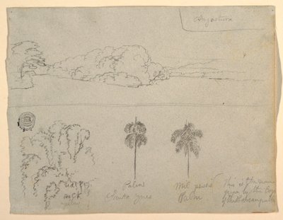 Tekening, Schetsen uit Colombia:  Oever van een rivier of baai, en bomen, 1853 door Frederic Edwin Church