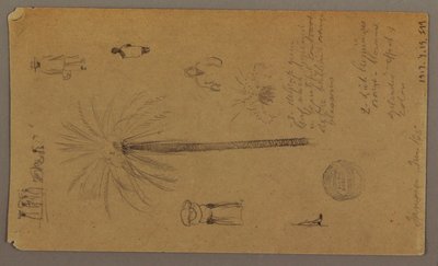 Tekening, Schetsen uit Jamaica, West-Indië, juni 1865 door Frederic Edwin Church