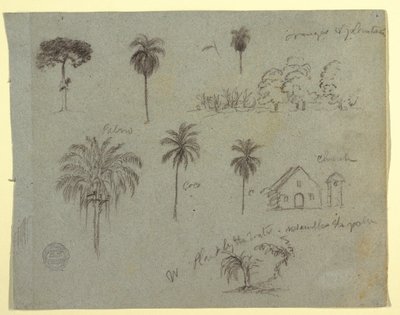 Tekening, Schetsen van de Rio Magdalena, Columbia:  Botanische studies en een kerk, mei 1853 door Frederic Edwin Church