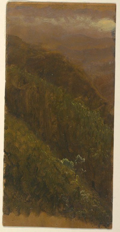 Tekening, Steile helling, juli 1865 door Frederic Edwin Church
