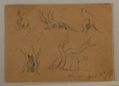 Tekening, Studies van olijfboomstammen, 28 april 1869 door Frederic Edwin Church
