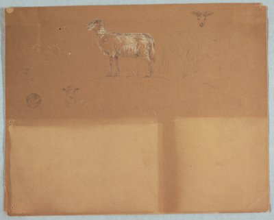 Tekening, Studies van schapen, Ecuador of Colombia, 1853 door Frederic Edwin Church