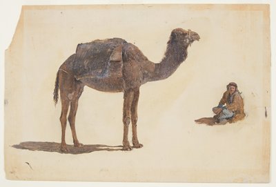 Tekening, Studie van een dromedaris, 1868 door Frederic Edwin Church