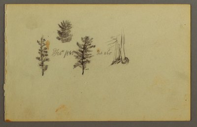 Tekening, Drie evergreens, 1845 door Frederic Edwin Church