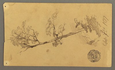 Tekening, Boom, 1877 door Frederic Edwin Church