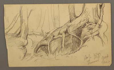 Tekening, Boomwortels groeien over een rotsblok (Turner Mountain), 1877 door Frederic Edwin Church