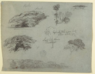 Tekening, Bomen, boomtoppen en een beboste oever, Saddleback, Maine, 1853 door Frederic Edwin Church