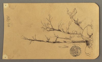 Tekening, Bomen, keien, 1878 door Frederic Edwin Church