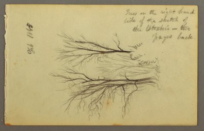 Tekening, Bomen door Htakie () Pond, 1845 door Frederic Edwin Church