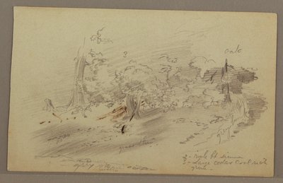 Tekening, Bomen, mogelijk jaren 1860 door Frederic Edwin Church