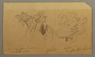 Tekening, Twee boomstudies, oktober 1865 door Frederic Edwin Church