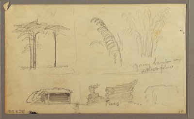 Tekening, Gezicht op de oostelijke oever van de Guayas-rivier, tegenover Guayaquil, Ecuador, mei 1857 door Frederic Edwin Church