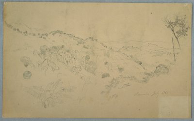 Tekening, Beboste vallei met een grote varen en bergketens in de verte, Jamaica, juli 1865 door Frederic Edwin Church