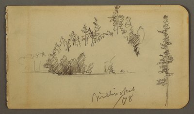 Tekening, Bosachtige oever, boomstudie, 1878 door Frederic Edwin Church
