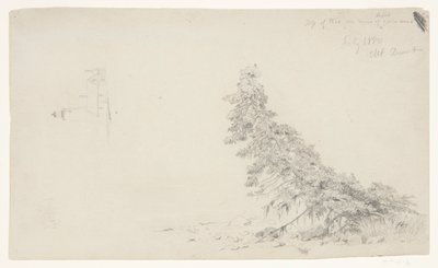 Altijdgroene Boom bij de Kust met een Detail van de Vuurtoren en een Huis, Mount Desert, Maine door Frederic Edwin Church