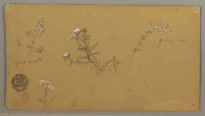 Bloeiende planten door Frederic Edwin Church