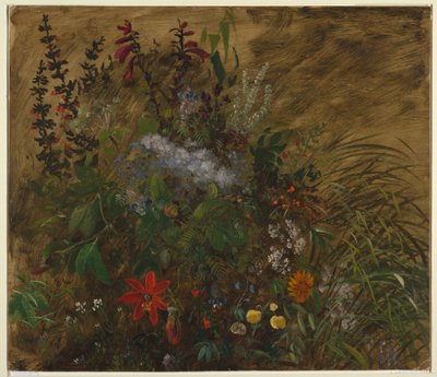 Bloemen in Jamaica door Frederic Edwin Church
