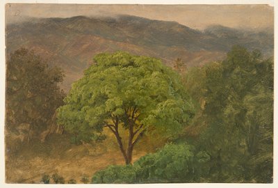 Genip Boom in de Bergen, Jamaica door Frederic Edwin Church