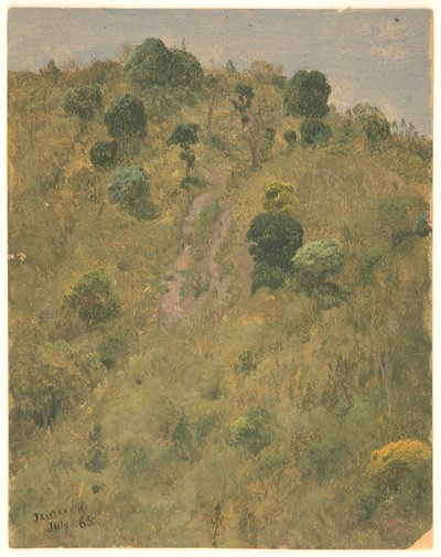 Landschap, Jamaica door Frederic Edwin Church
