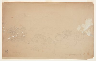 Landschap bij Guaranda, Ecuador door Frederic Edwin Church