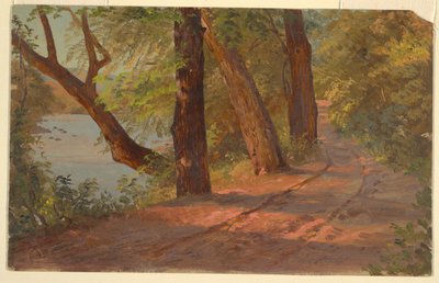 Landschap uit Noord-Amerika (Weg bij een meer) door Frederic Edwin Church