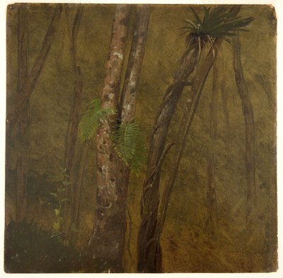 Landschap in Jamaica door Frederic Edwin Church
