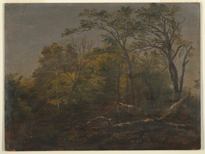 Maine Woods door Frederic Edwin Church