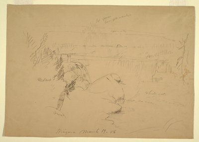 Niagara Watervallen, Uitzicht vanaf Goat Island door Frederic Edwin Church