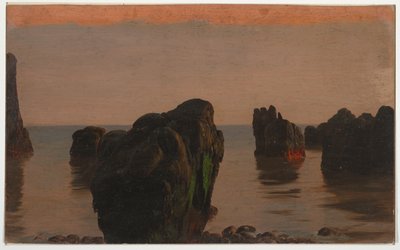 Rotsen en mos bij Grand Manan door Frederic Edwin Church