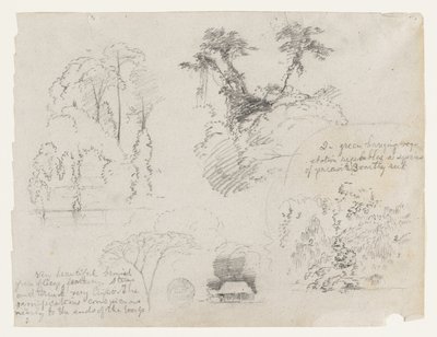 Schetsen uit Zuid-Amerika, waarschijnlijk uit Colombia.  Botanische schetsen.  Een huis. door Frederic Edwin Church