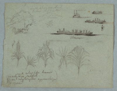 Schetsen van de Rio Magdalena, Colombia: Planten, stoomboot en een Champan door Frederic Edwin Church