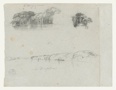 Schetsen van bomen, wijnranken en een oever van de Rio Magdalena, Colombia door Frederic Edwin Church