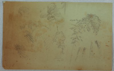 Studies van boomtoppen en bamboe, Jamaica door Frederic Edwin Church