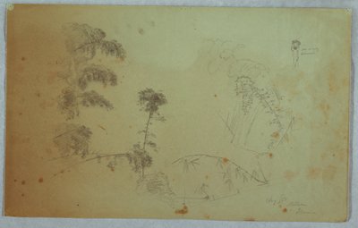 Studies van Bomen met Details van Bamboe en een Klein Detail van een Man die Bananen op zijn Hoofd Draagt, Bellevue, Jamaica door Frederic Edwin Church