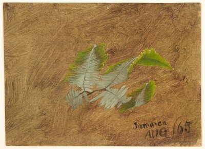 Studie van Varen, Jamaica door Frederic Edwin Church