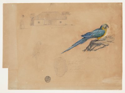 Studie van Guacamaya, Bogotá, Colombia door Frederic Edwin Church
