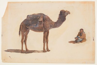 Studie van een Dromedaris door Frederic Edwin Church