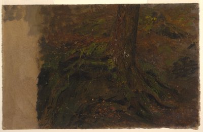 Studie van een Boomstam door Frederic Edwin Church