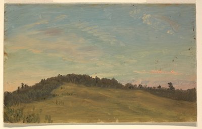 Zomerlandschap door Frederic Edwin Church
