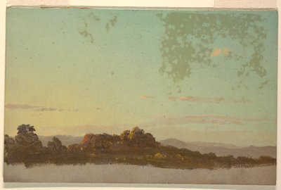 Zomerlandschap door Frederic Edwin Church
