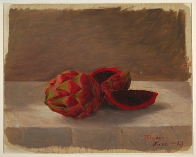De Pitajaya vrucht, Colombia door Frederic Edwin Church
