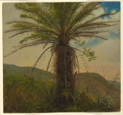 Boomvaren, Jamaica, juli 1865 door Frederic Edwin Church