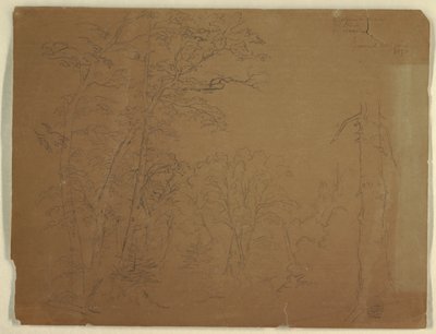 Bomen, Grand Manan Island, Canada door Frederic Edwin Church
