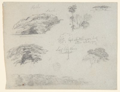 Bomen, boomtoppen en een beboste oever, Saddleback, Maine door Frederic Edwin Church