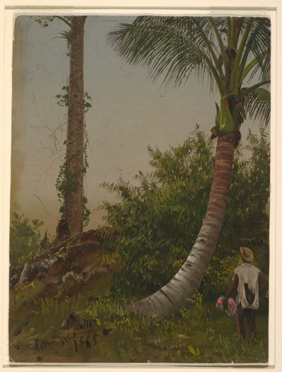 Bomen in Jamaica, West-Indië door Frederic Edwin Church