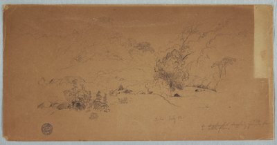Uitzicht op Toche, Colombia door Frederic Edwin Church